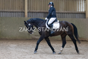 ZH1 hobby (1054).JPG