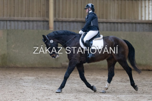 ZH1 hobby (1055).JPG