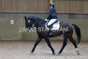 ZH1 hobby (1056).JPG