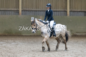 ZH1 hobby (1057).JPG