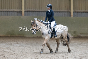 ZH1 hobby (1058).JPG