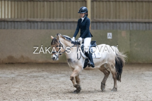 ZH1 hobby (1059).JPG