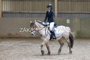 ZH1 hobby (1060).JPG