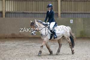 ZH1 hobby (1061).JPG