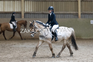 ZH1 hobby (1062).JPG