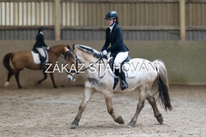 ZH1 hobby (1063).JPG