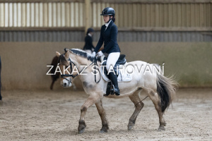 ZH1 hobby (1064).JPG