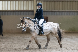 ZH1 hobby (1065).JPG