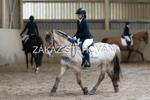 ZH1 hobby (1066).JPG