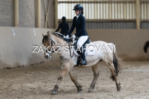 ZH1 hobby (1067).JPG