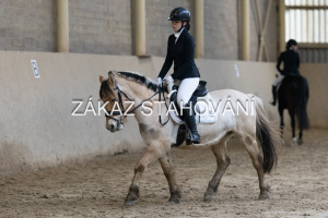 ZH1 hobby (1068).JPG