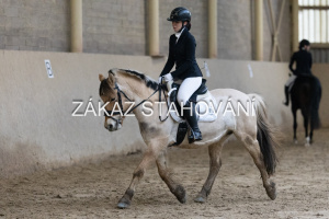 ZH1 hobby (1069).JPG