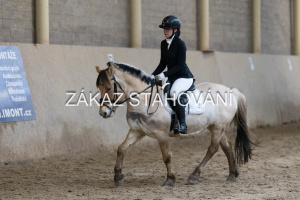 ZH1 hobby (1070).JPG