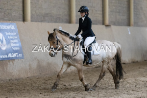 ZH1 hobby (1071).JPG