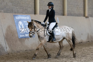 ZH1 hobby (1072).JPG