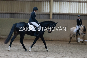 ZH1 hobby (1074).JPG