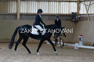 ZH1 hobby (1075).JPG