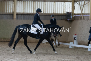 ZH1 hobby (1076).JPG