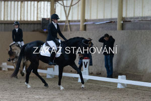 ZH1 hobby (1077).JPG