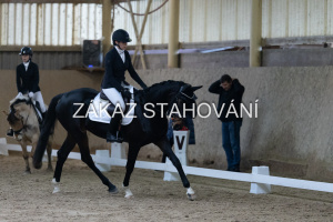 ZH1 hobby (1078).JPG