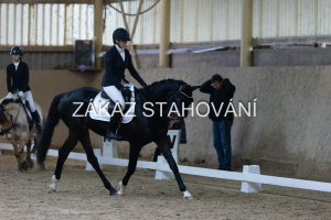 ZH1 hobby (1079).JPG