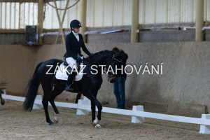 ZH1 hobby (1080).JPG