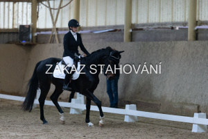 ZH1 hobby (1081).JPG