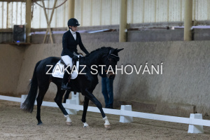 ZH1 hobby (1082).JPG