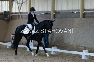 ZH1 hobby (1083).JPG