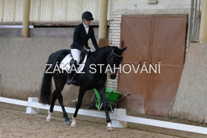 ZH1 hobby (1084).JPG