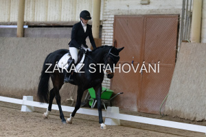 ZH1 hobby (1085).JPG