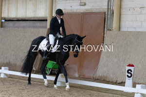 ZH1 hobby (1086).JPG