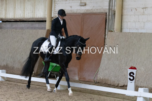 ZH1 hobby (1087).JPG