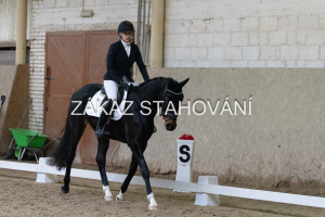 ZH1 hobby (1088).JPG