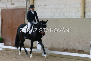 ZH1 hobby (1089).JPG