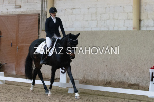 ZH1 hobby (1090).JPG