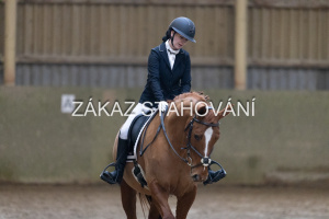 ZH1 hobby (1091).JPG