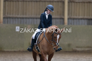 ZH1 hobby (1092).JPG