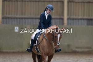 ZH1 hobby (1093).JPG