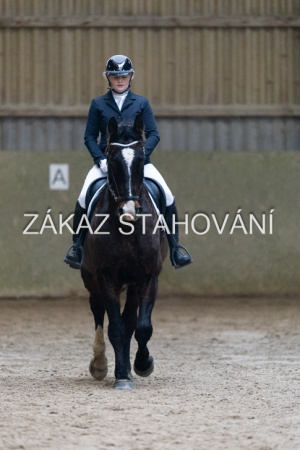 ZH1 hobby (1094).JPG