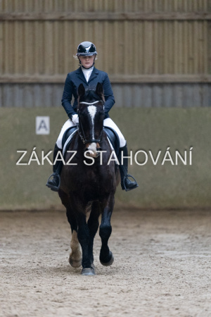 ZH1 hobby (1095).JPG