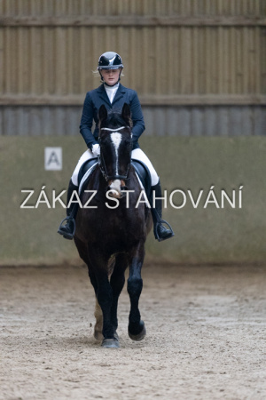 ZH1 hobby (1096).JPG