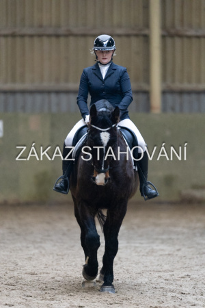 ZH1 hobby (1097).JPG