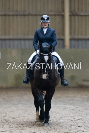 ZH1 hobby (1098).JPG