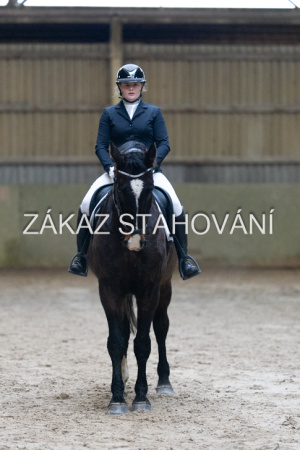 ZH1 hobby (1099).JPG