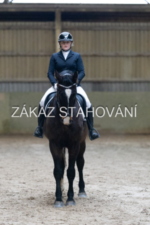 ZH1 hobby (1100).JPG