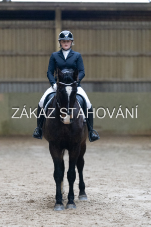 ZH1 hobby (1102).JPG