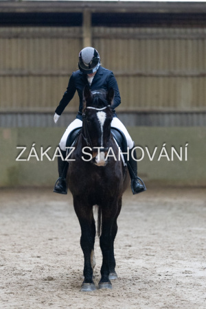 ZH1 hobby (1104).JPG