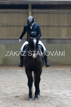 ZH1 hobby (1105).JPG