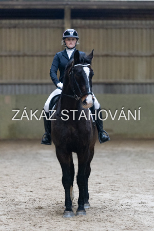 ZH1 hobby (1106).JPG